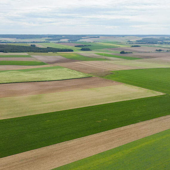 Couverture_Bourdenay