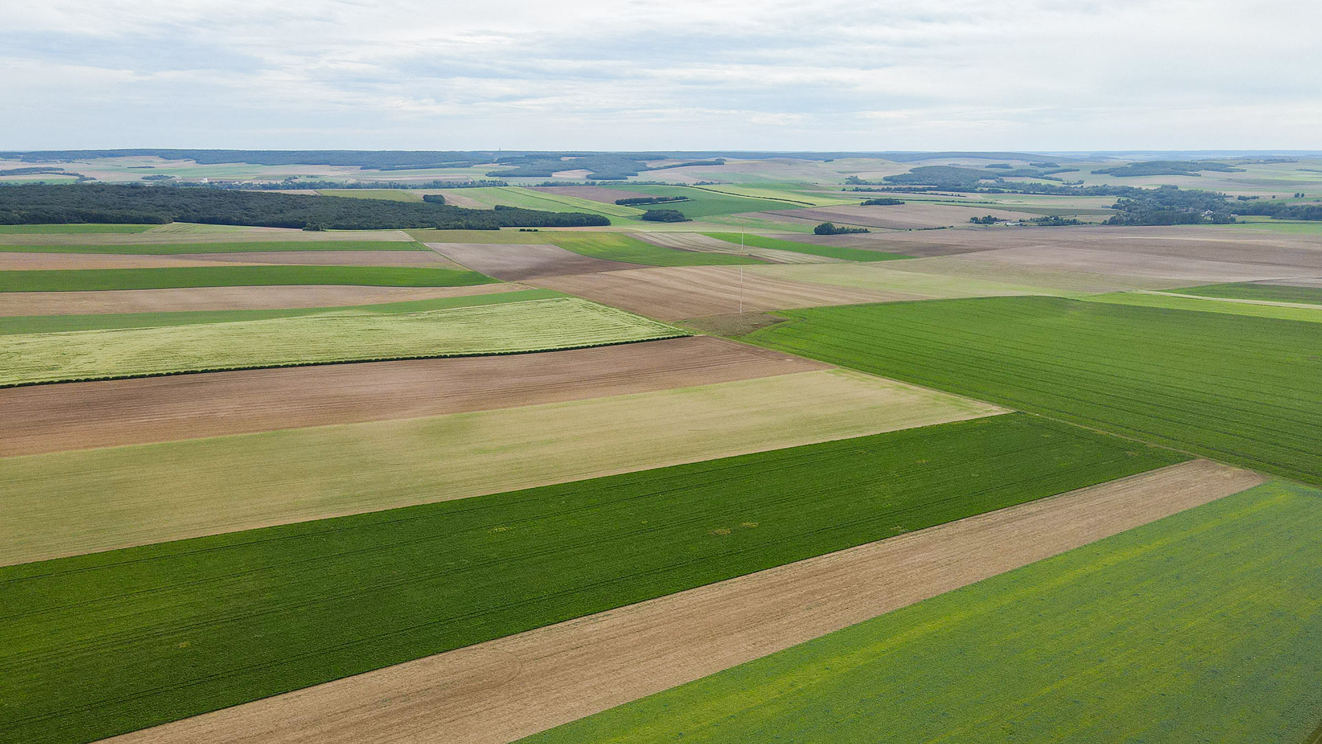 Couverture_Bourdenay