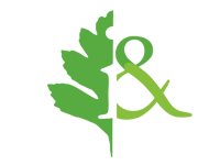 IEA