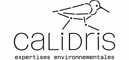 Logo-Calidris